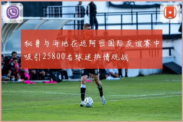 秘鲁与海地在迈阿密国际友谊赛中吸引25800名球迷热情观战