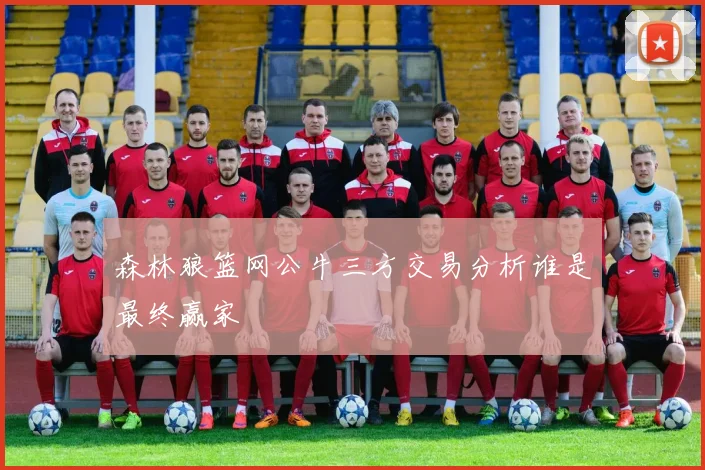 森林狼篮网公牛三方交易分析谁是最终赢家